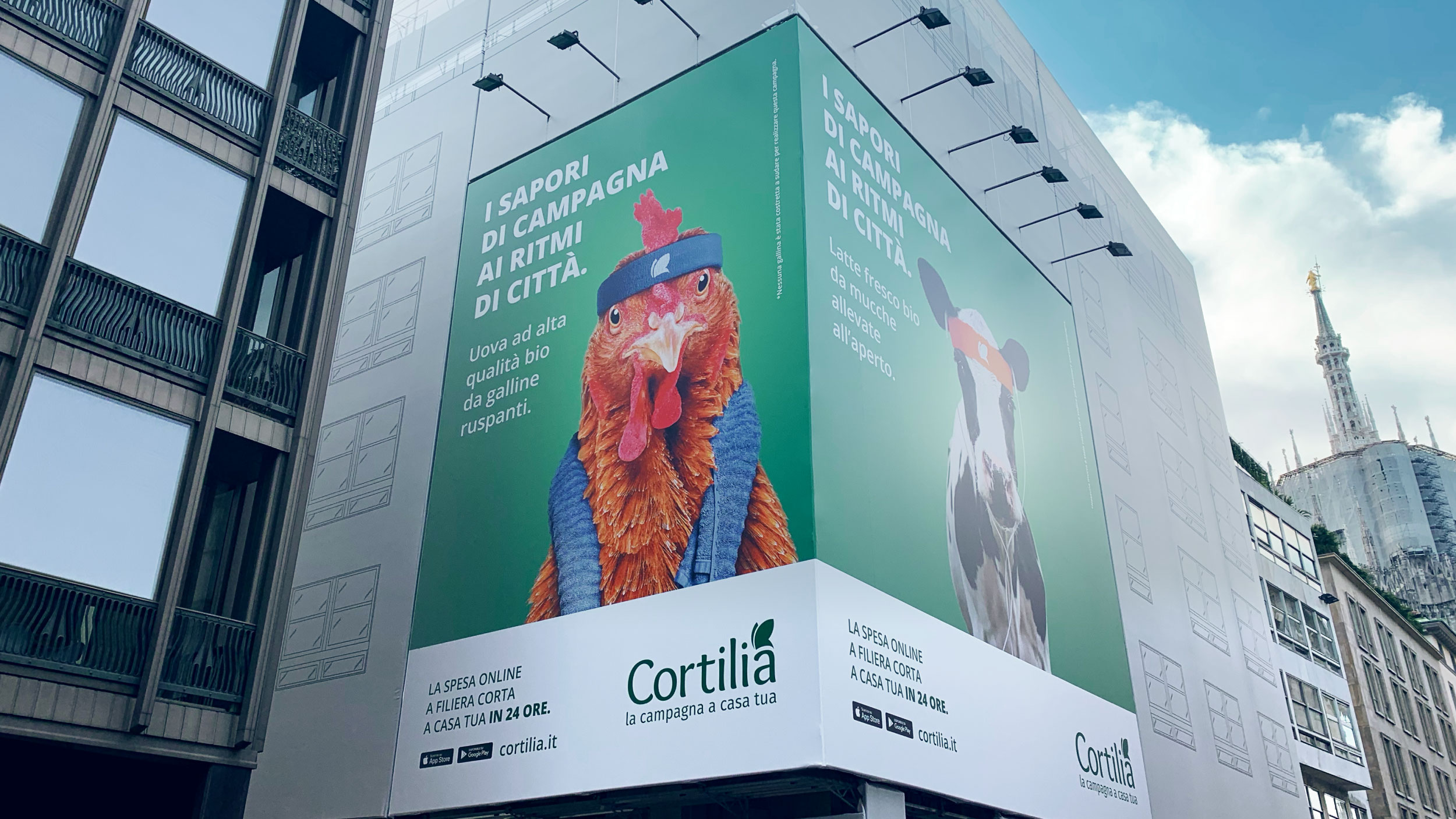 website_cortilia04