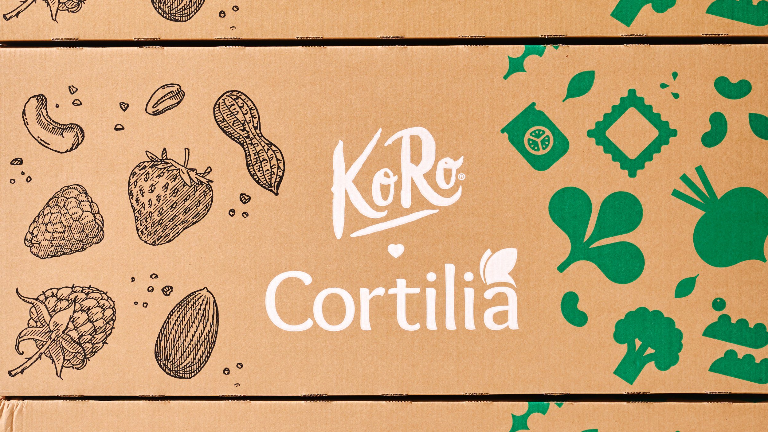 antstudio_cortilia_koro_05