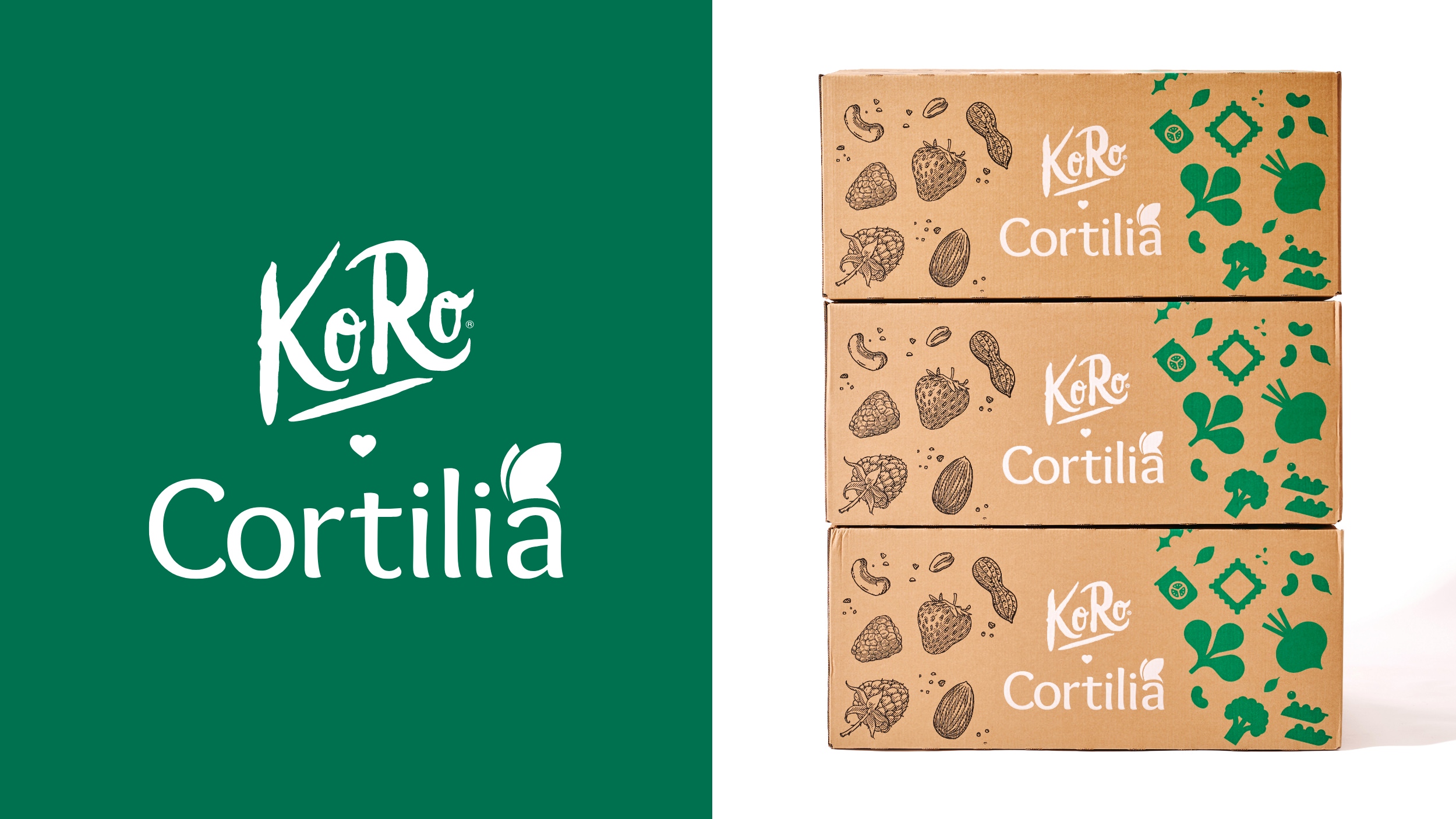 antstudio_cortilia_koro_07