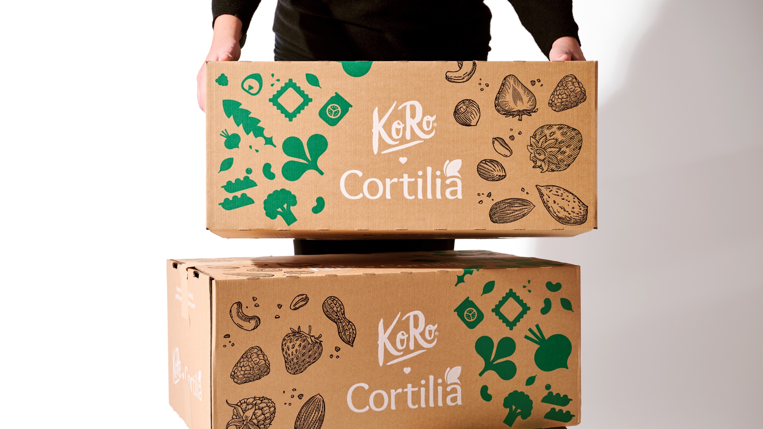 antstudio_cortilia_koro_09