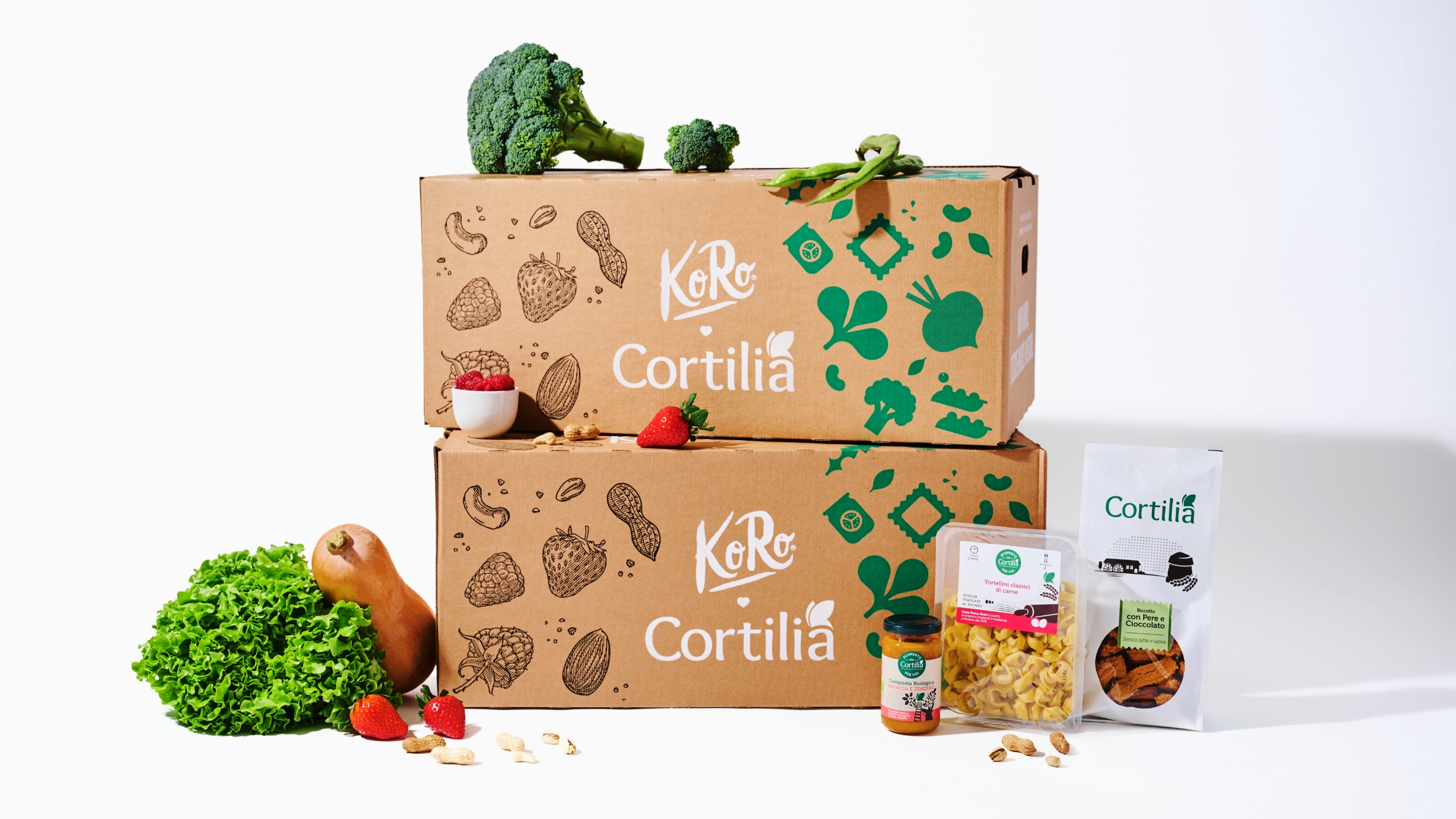 antstudio_cortilia_koro_12