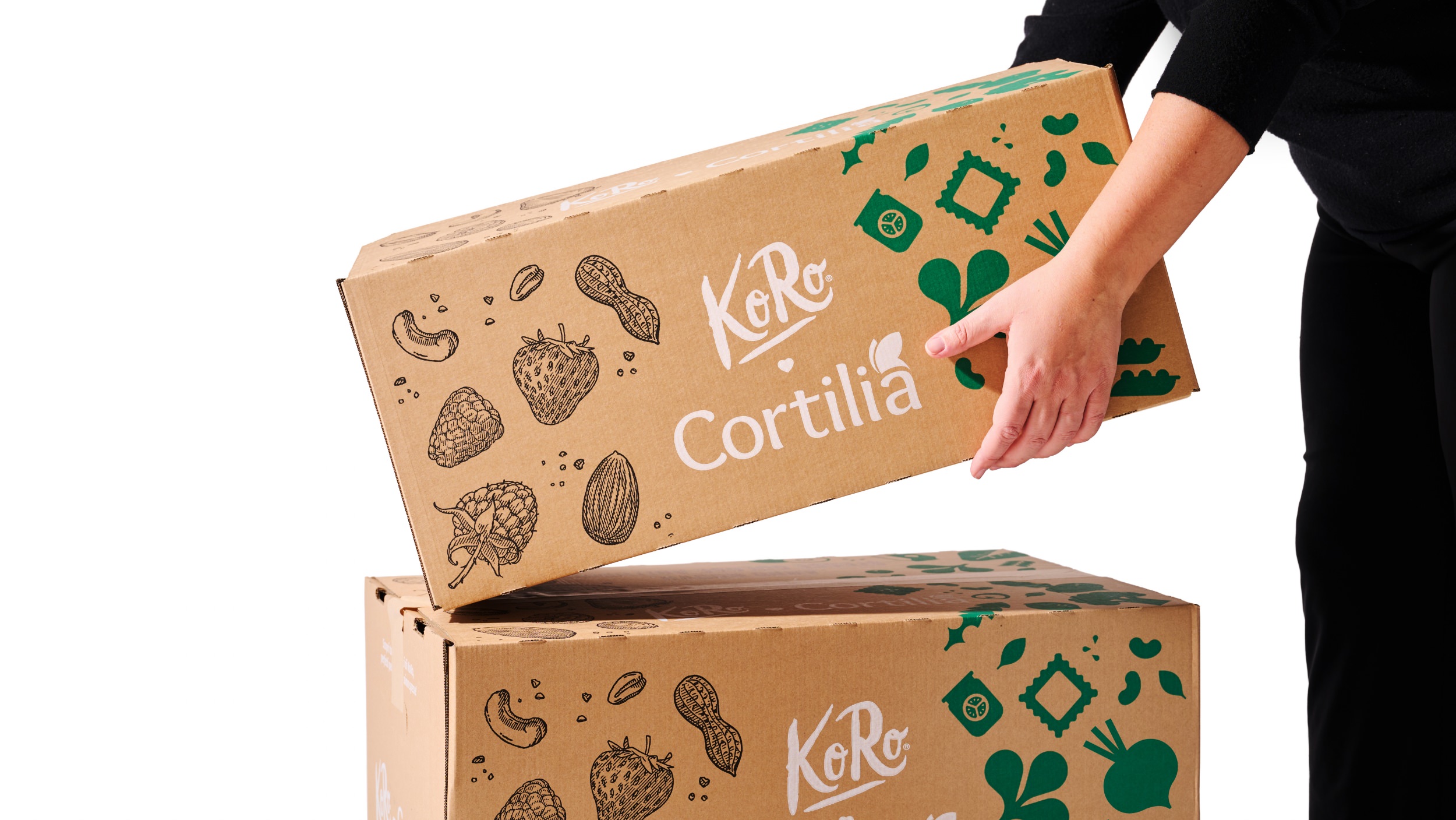 dantstudio_cortilia_koro_0